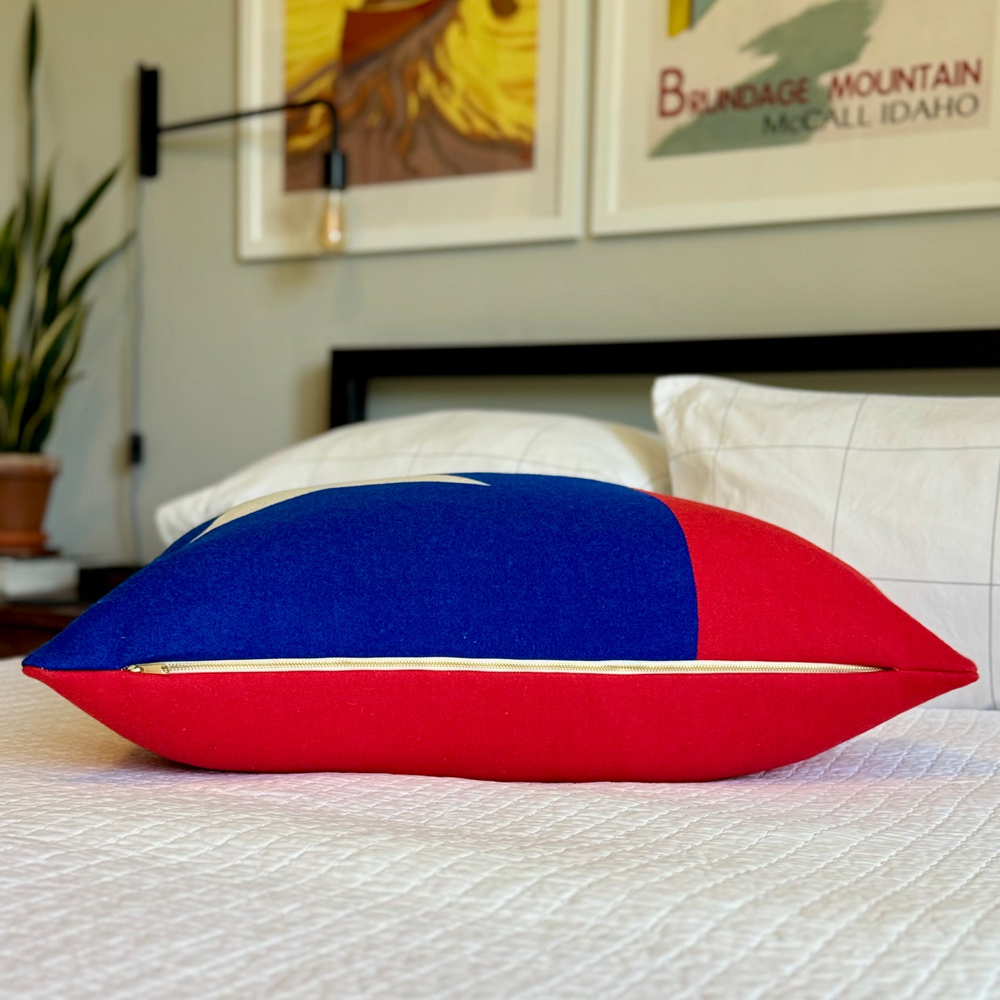Big Tex Pillow Cover 28X28