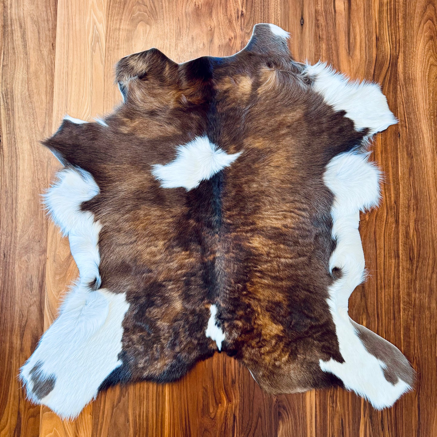 Cowhide Rug 1