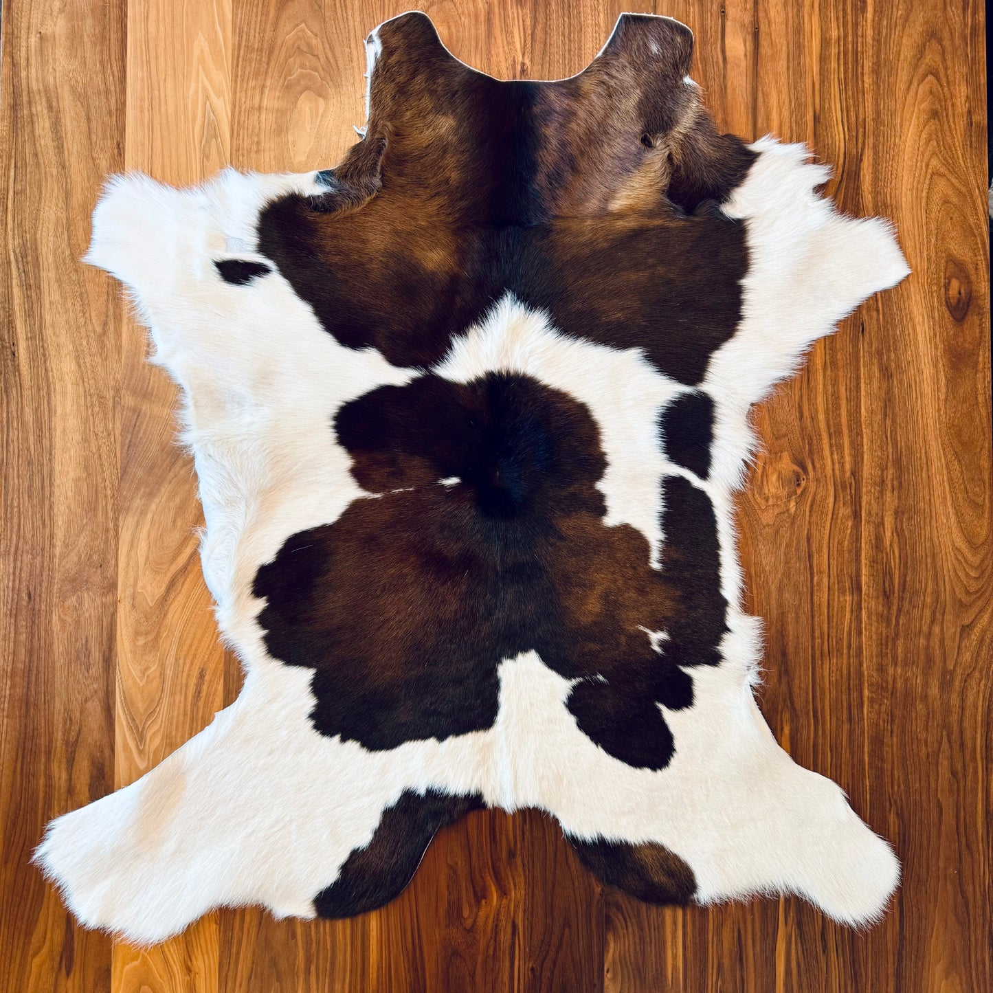 Cowhide Rug 2