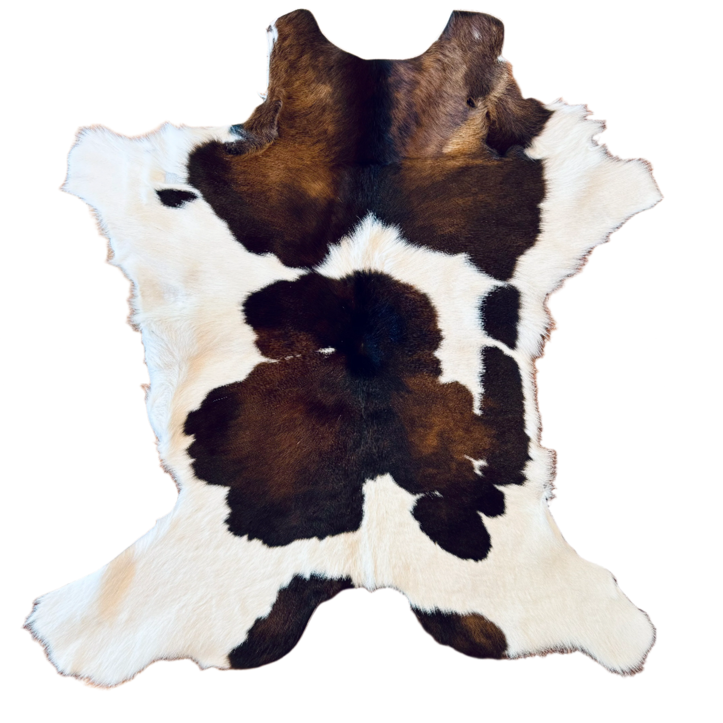 Cowhide Rug 2