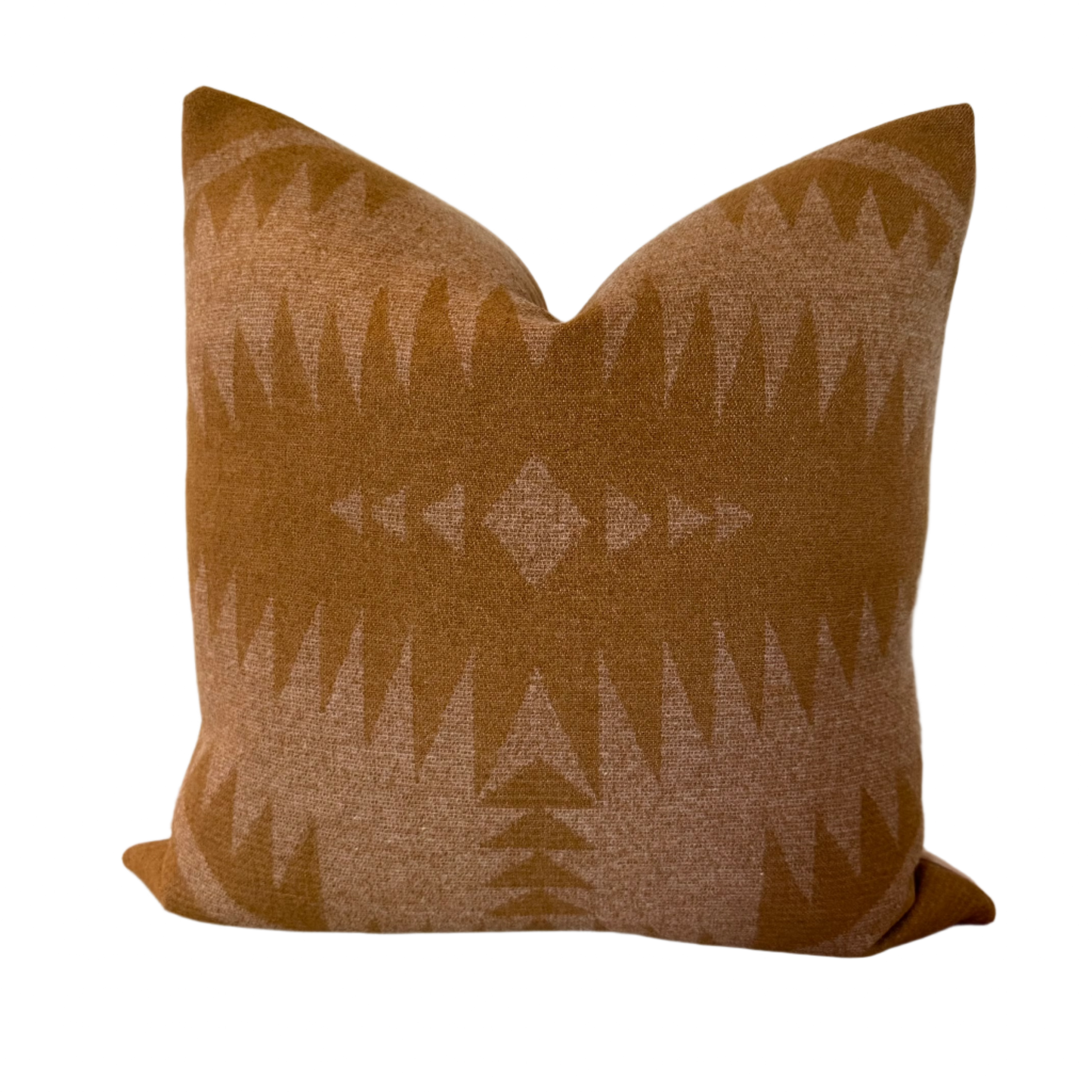 Desert Bloom Tan Pillow Cover